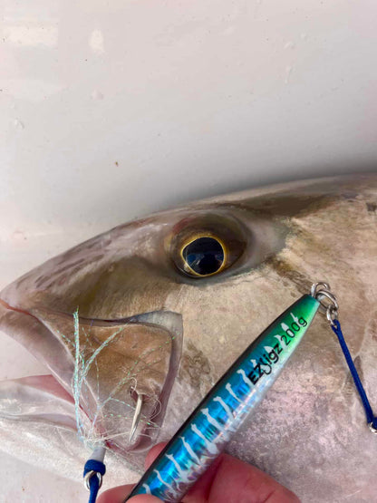 NEW! TunaBolt Speed Jig