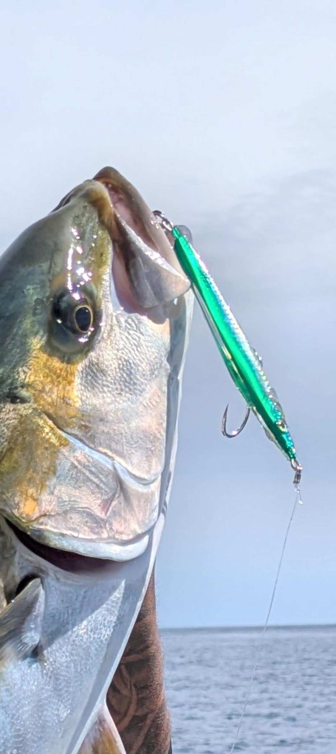 LongShot Fast-Sinking Stickbait Long-Cast Jig