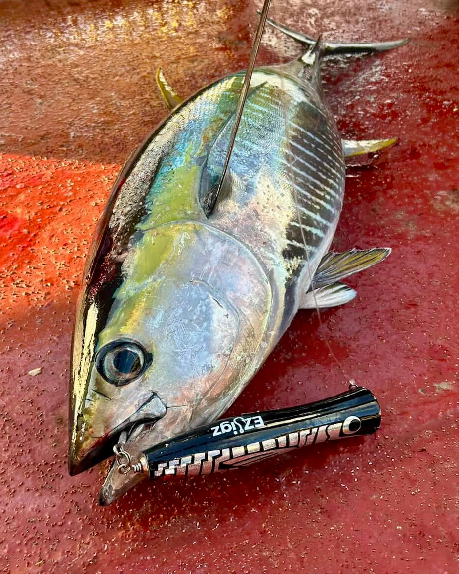 SeaRuler Tuna GT Handmade Wooden Popper