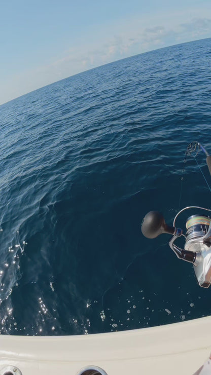 SeaRipper Jig